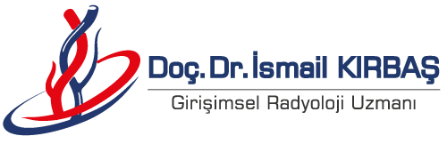 İsmail Kırbaş Logo
